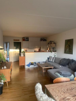 Apartment close to downtown and water, Copenhagen